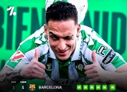 开云体育入口-勒沃库森遭遇连平，争冠困难重重的简单介绍