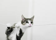 开云体育app-世界排名争夺战焦点战，智利斩落阿森纳，南美新星撼动足坛格局