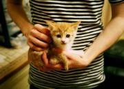 开云体育官网-幽灵战争，当委内瑞拉对阵伊拉克，布雷默的无人可挡如何拆解安赫尔瀑布的密码