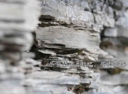 开云-巴格达引擎轰鸣，伊拉克队如F1赛车般进站速胜南非