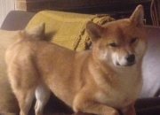 开云平台-最后一个三分，与全世界为敌