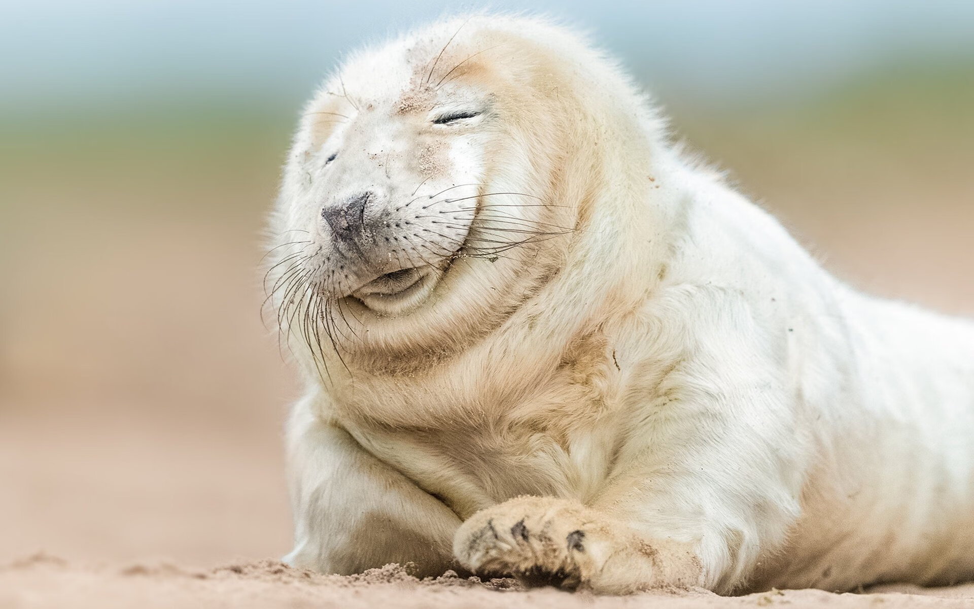 德甲争冠战焦点战,塞维利亚横扫波兰背后的足球风云