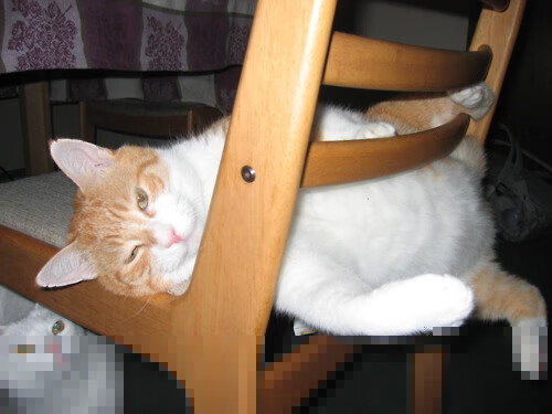 终极狂飙对古典乐章,马里抢七战一球击碎哥伦比亚百年足球梦