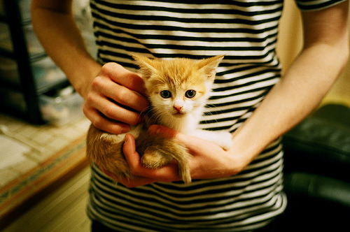 幽灵战争，当委内瑞拉对阵伊拉克，布雷默的无人可挡如何拆解安赫尔瀑布的密码