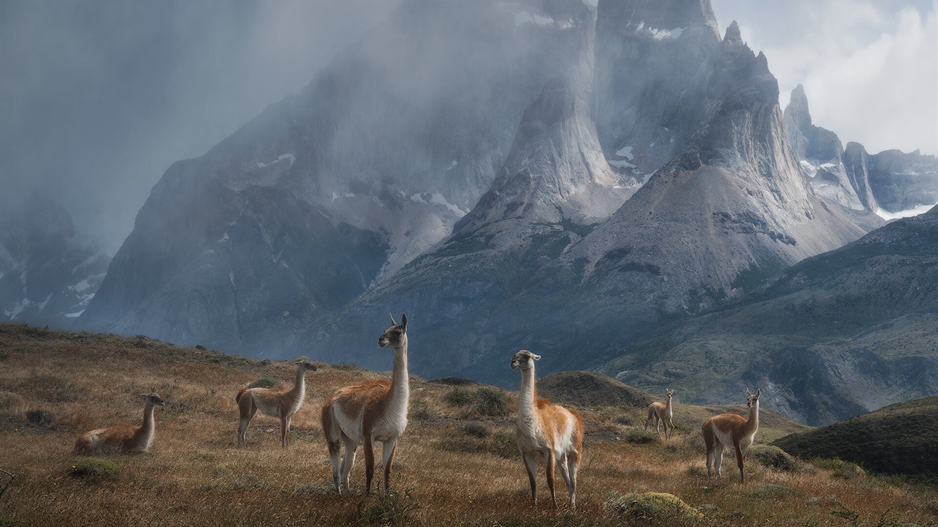 跨界冰与火，文班亚马关键球定乾坤，活塞正面击溃北京队