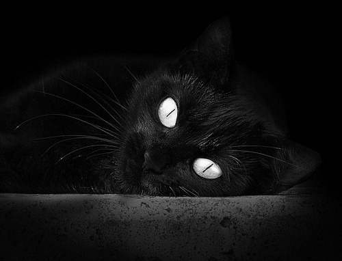 熔岩击穿冰川,迪亚斯末节爆发,墨西哥逆转带走冰岛