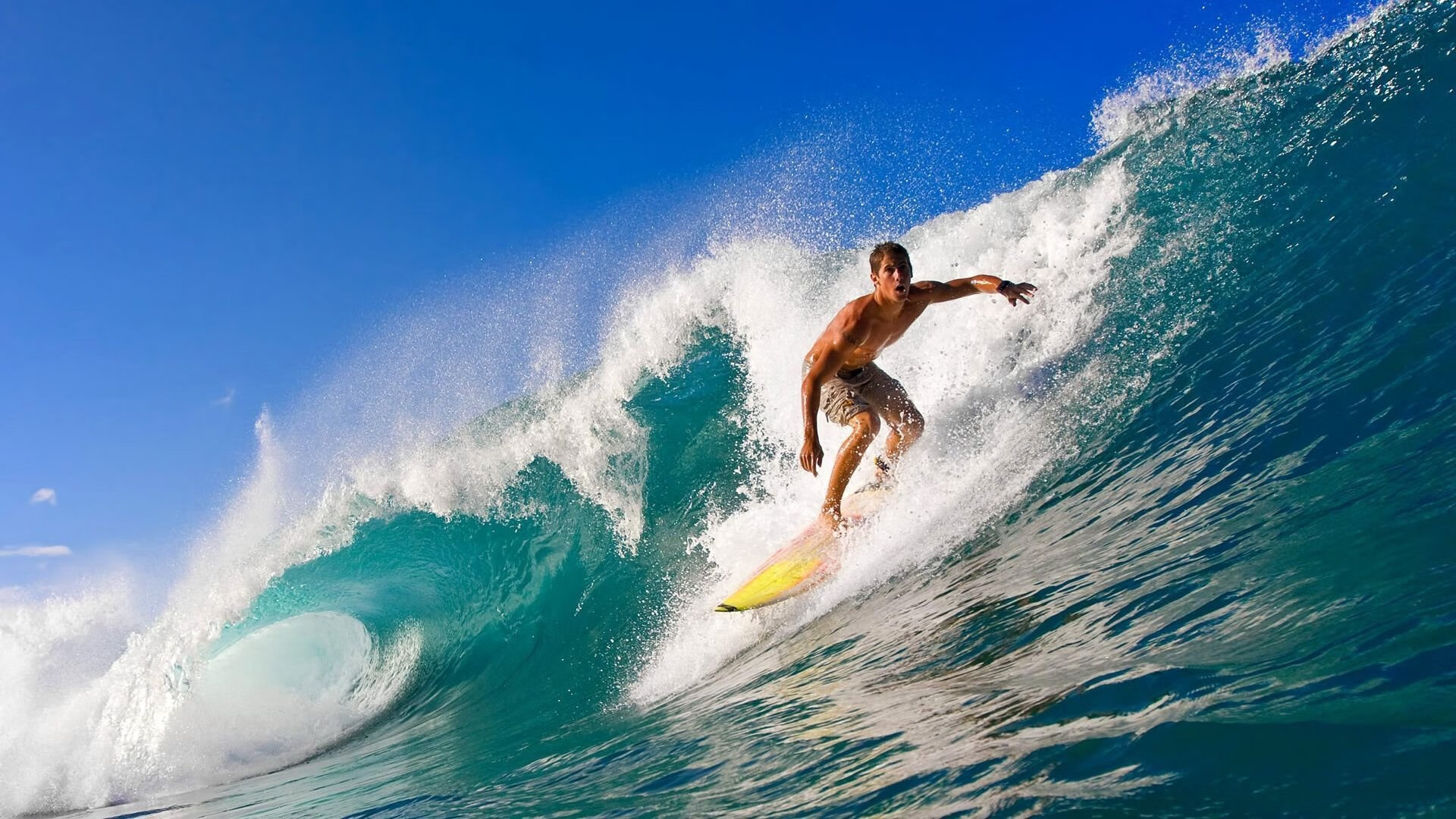 绿茵场上的征服者,当非洲雄狮遇上北非飓风