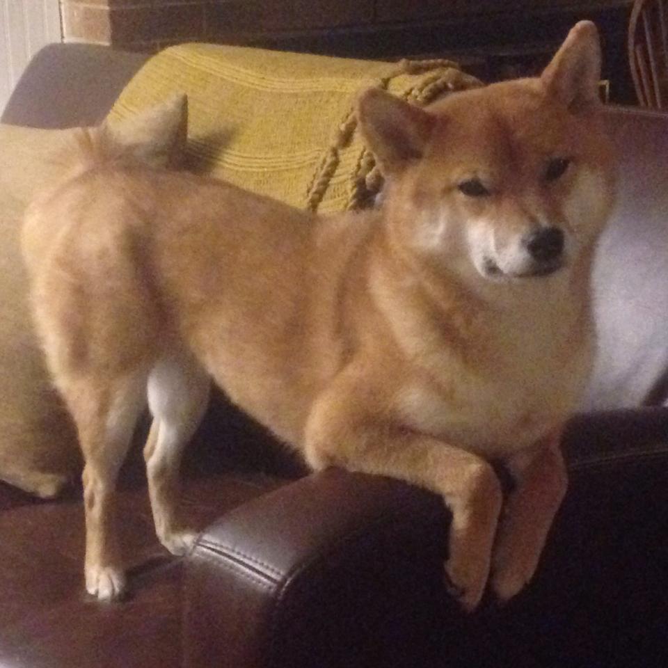 最后一个三分，与全世界为敌